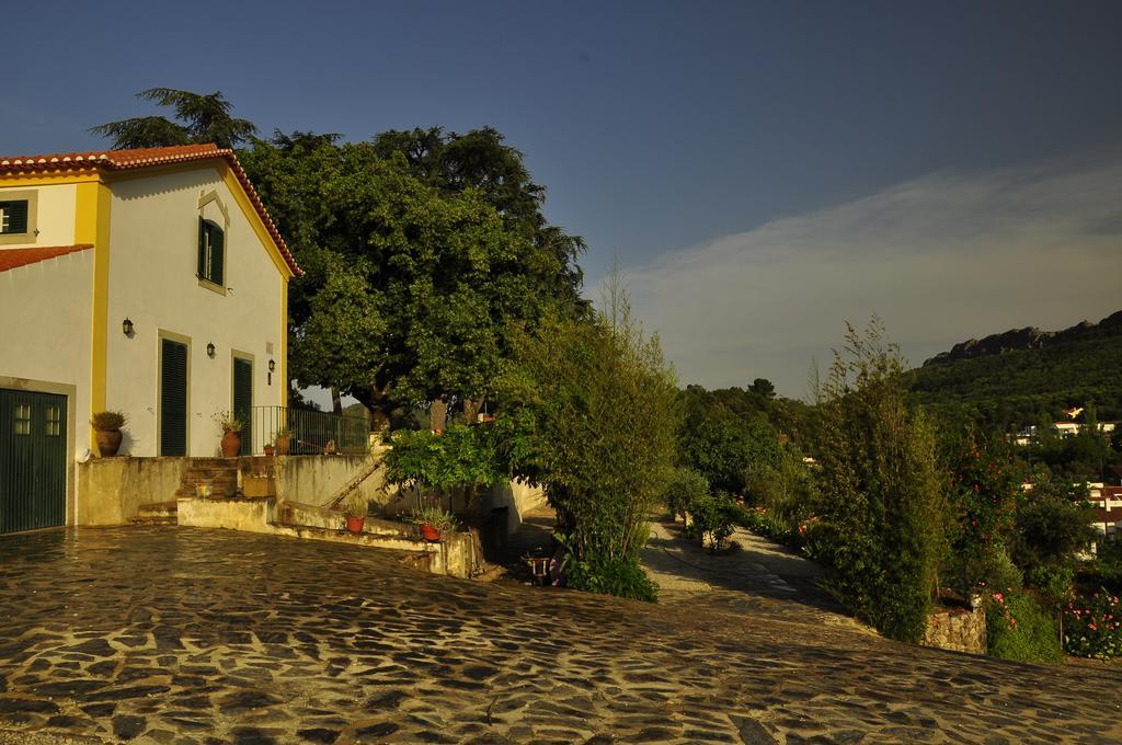Vila Maria Castelo de Vide Exterior photo